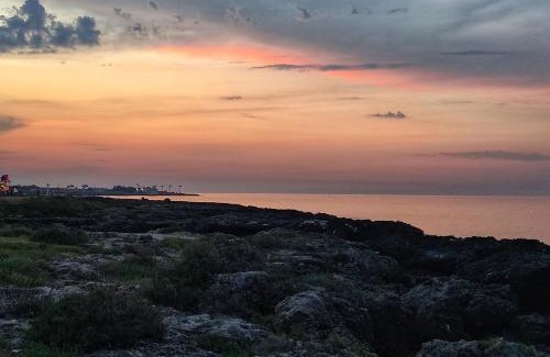 Laureto House | La Casa di Cle Casa Vacanze Valle d'Itria vicino Zoosafari