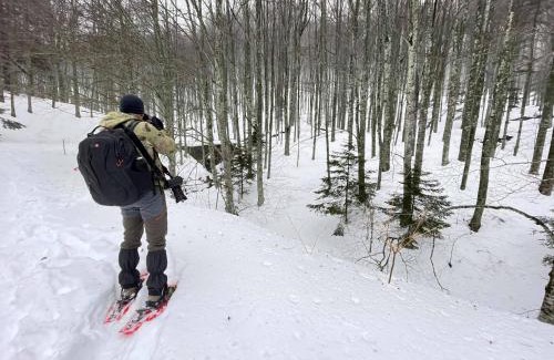 Badia Prataglia House | La Casa di Gloria - Residence affitta camere