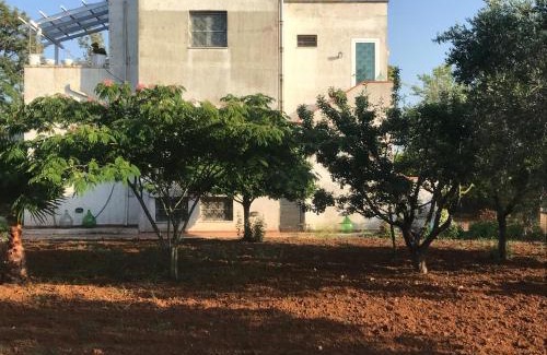 Brindisi Bed & Breakfast | La casa di Sergio