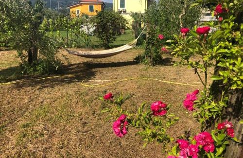 Follo House | La casa di Ulivì