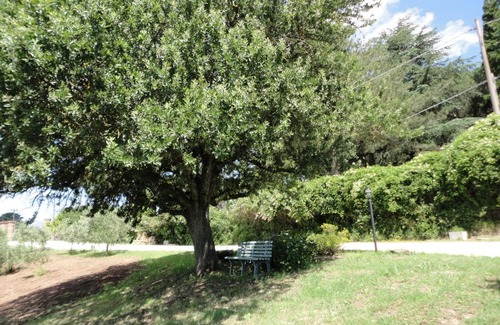 Lake Bracciano Bed & Breakfast | La casa fiorita