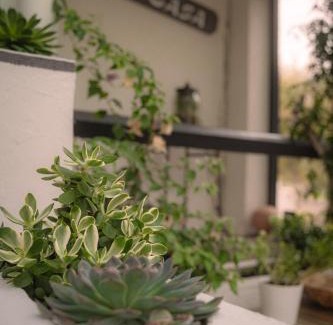 Stella-Plage House | La Casa Néo