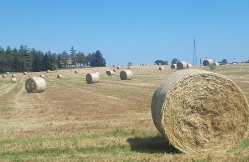 Misano Adriatico Bed & Breakfast | LA CASA NELLA PRATERIA