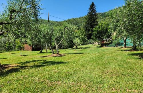 Macchino Villa | La Casa Rossa - Villa con piscina privata