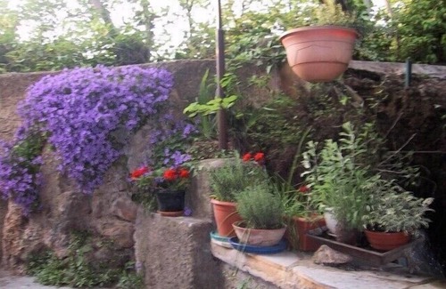 Aups Apartment | La Cascade: A delightful apartment in an old olive mill in Aups, Provence