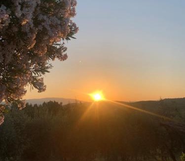 Ponte Buriano Apartment | La casina del Poggio