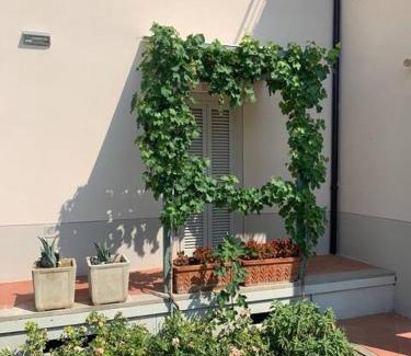 Civitella in Val di Chiana Apartment | La Casina di Renzino