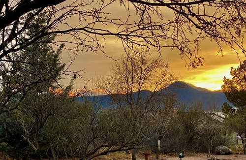Camp Verde Cabin | La Casita. Cozy 1 bed, 1 bath, private patio