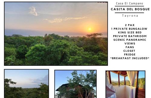 Mata de Platano Cabin | La Casita del Bosque