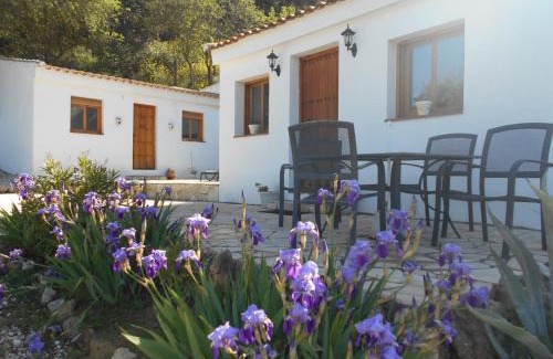 Loja House | La Casita, Zagra