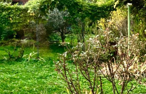 Thonon-les-Bains House | La Causeuse