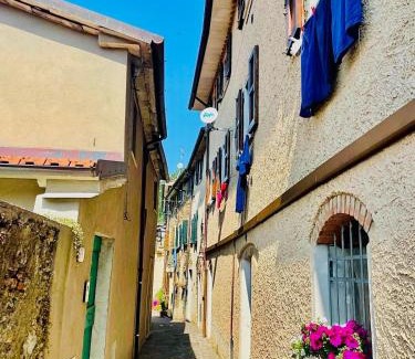 Seravezza House | La Cerretina