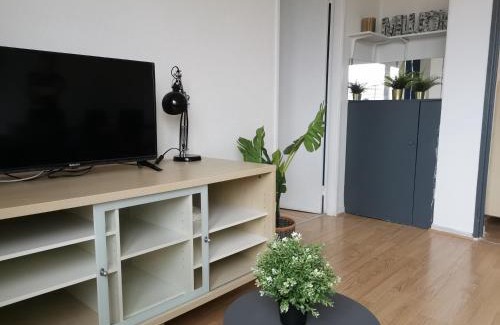 Koenigshoffen Est Apartment | La Charmille, charmant 2P proche tram