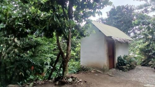 Santa Marta Other | La Cima Tayrona