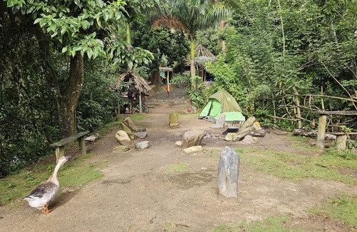 Santa Marta Hotel | La Cima Tayrona