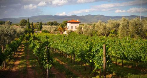 Castagneto Carducci House | La Cipriana