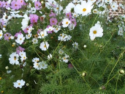 Sainte-Marie-du-Bois Bed & Breakfast | La Cloue