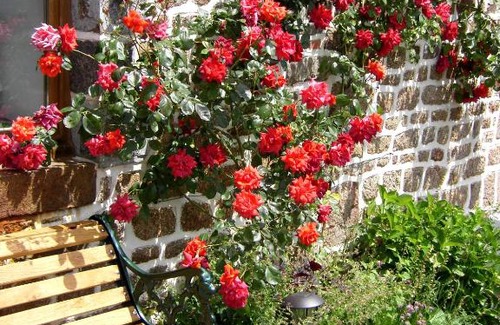 Sainte-Marie-du-Bois Bed & Breakfast | La Cloue