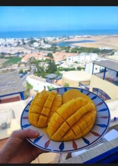 Oualidia House | La coline vue sur mer Uniquement les familles