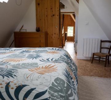 Drucourt House | La Contrebasse