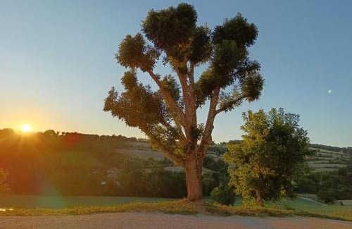 Le Chalon Apartment | La Cornaline