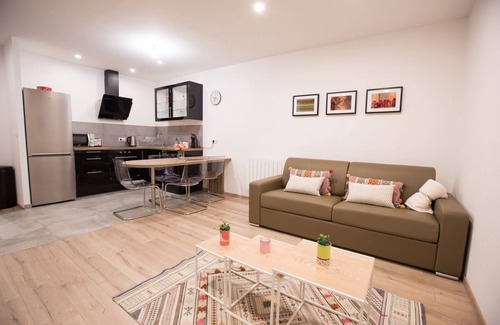 Strasbourg Apartment | La Cour du Faubourg 2: magnificent apartment in the center of Strasbourg