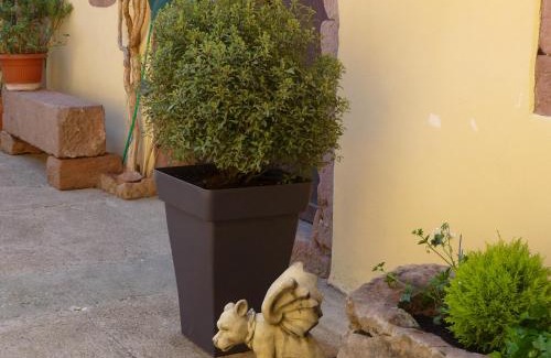 Saint-Hippolyte Apartment | La Cour St-Fulrad - Appartements