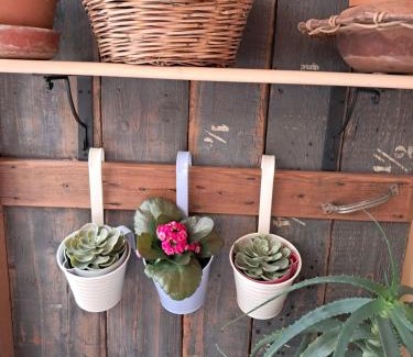 Bitetto House | La Dimora Segreta