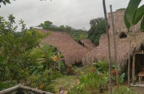 Palomino Bed & Breakfast | La Esquina Lejana Ecolodge en Palomino. Paz y Tranquilidad. Mar, río y Selva