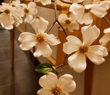 La Feclaz Apartment | La Feclaz - Duplex 90m2 au pied des pistes