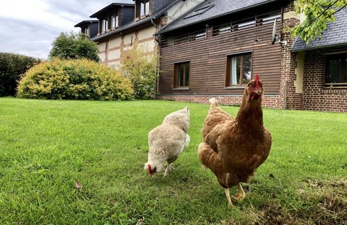 Quincampoix House | La Ferme D'antan - Quincampoix