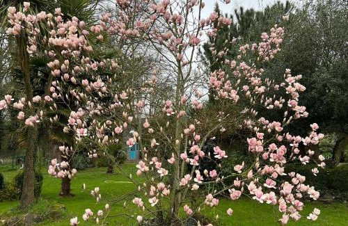 Carentoir House | La Ferme de Roulotte de Sandrine