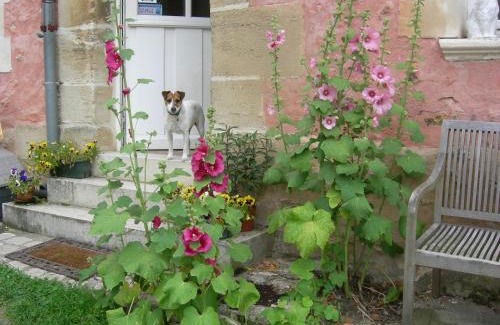 Boisemont Bed & Breakfast | La Ferme Rose