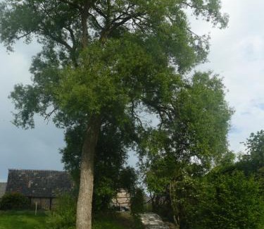 Noiseux Bed & Breakfast | La Fleur et Le Soleil (F&S)