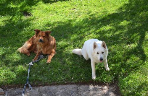 Mancey Bed & Breakfast | La Follye Mancey