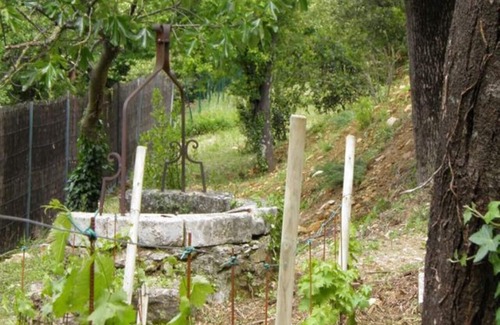Vallon-Pont-d'Arc Cottage | La Gaillarde, charming gîte, close to the river, private parking.