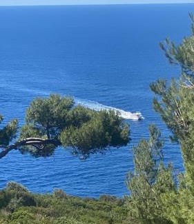 Anacapri Apartment | La GEMMA di Orrico