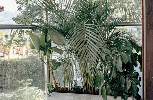 San Jeronimo House | La Gracia Hotel & Spa