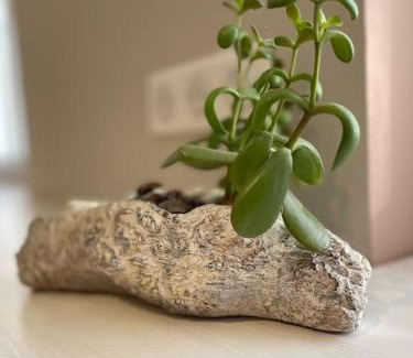 Dambach-la-Ville Apartment | La Grande Ourse - Chambre cosy 2 pers - L'Alcôve de l'Ours