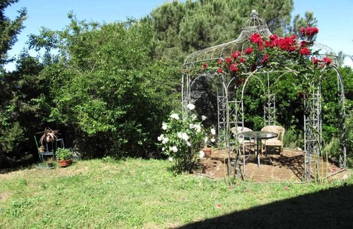 San Giuliano Terme Apartment | La Grotta Farmhouse
