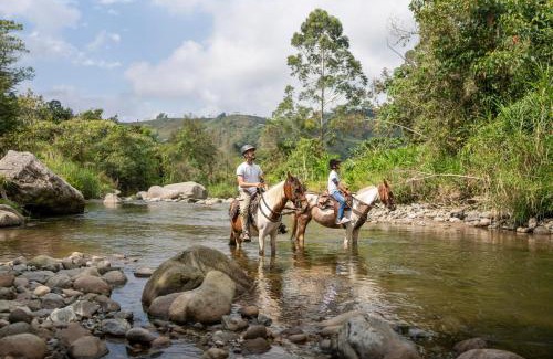 Santa Rosa de Cabal House | La Herradura lodge