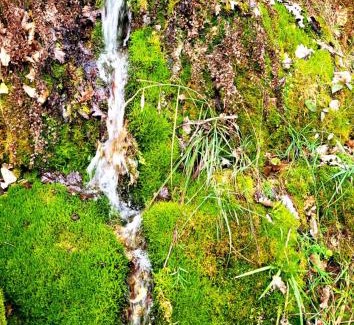 Saint-Avit-Senieur Villa | La JAVANAISE