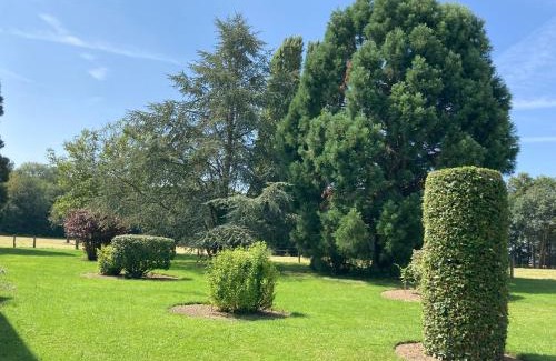 Neuvy House | la Louvière