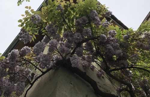 Eymet House | La Maison Ancienne EYMET, Beautiful B&B Dordogne ~ nearest airport Bergerac