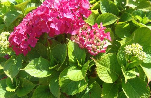 Longueville Bed & Breakfast | La Maison Claire