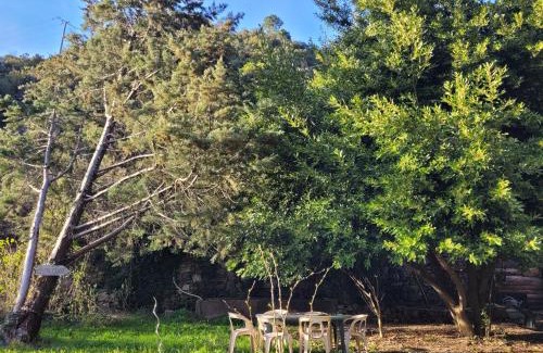 L'Estrechure House | la maison d'à coté