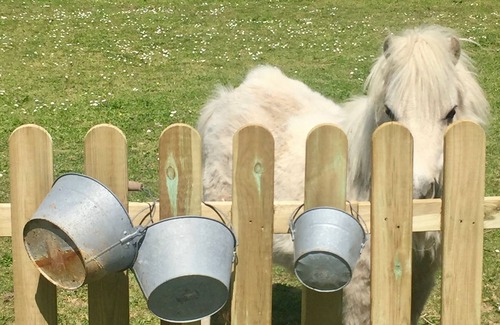 Cholet Cottage | La Maison de Coutil, at the Gîtes de l'Etang des noues, swimming pool, countryside, horses