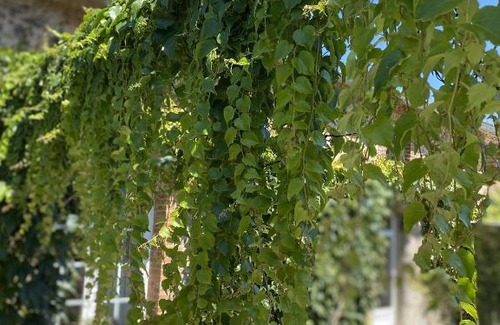 Cholet House | La Maison de Coutil, aux Gîtes de l'Etang des Noues