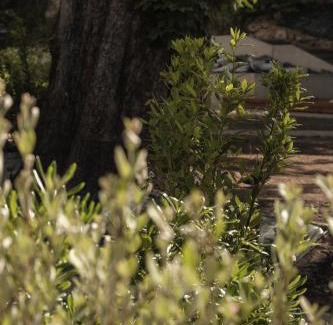 Chambery Hotel | La Maison des Ducs