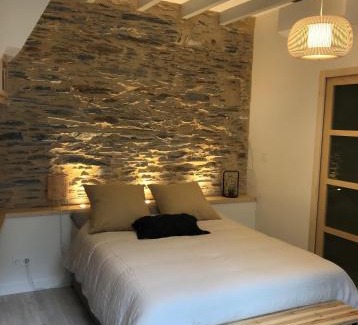 Angers Apartment | La Maison du Cocher - Studio climatisé en Hypercentre